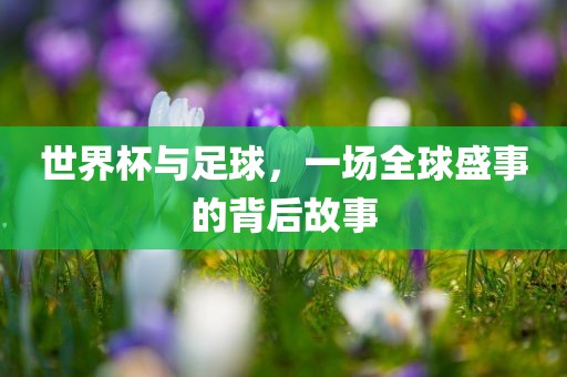 世界杯与足球，一场全球盛事的背后故事