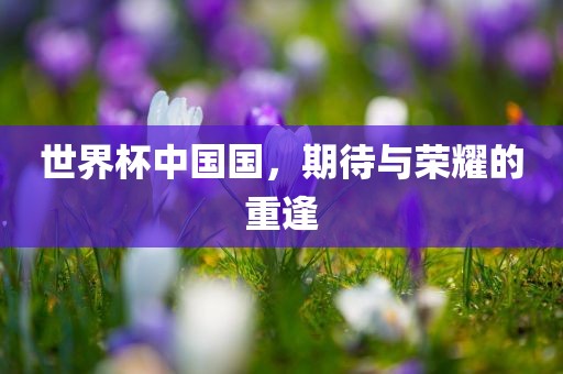 世界杯中国国，期待与荣耀的重逢