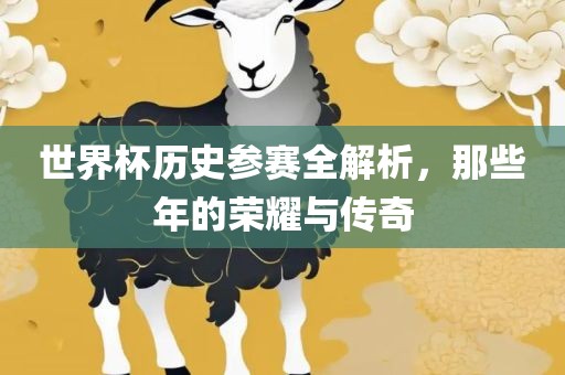 世界杯历史参赛全解析，那些年的荣耀与传奇