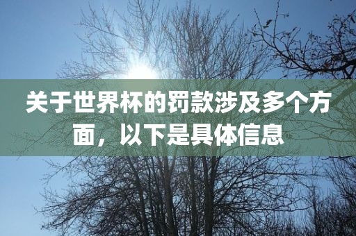 关于世界杯的罚款涉及多个方面，以下是具体信息