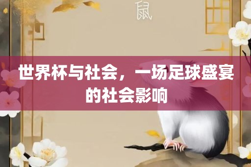 世界杯与社会，一场足球盛宴的社会影响