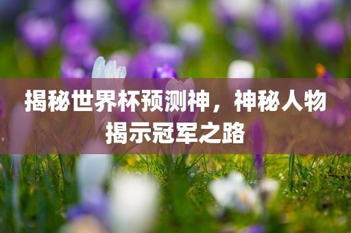 揭秘世界杯预测神，神秘人物揭示冠军之路