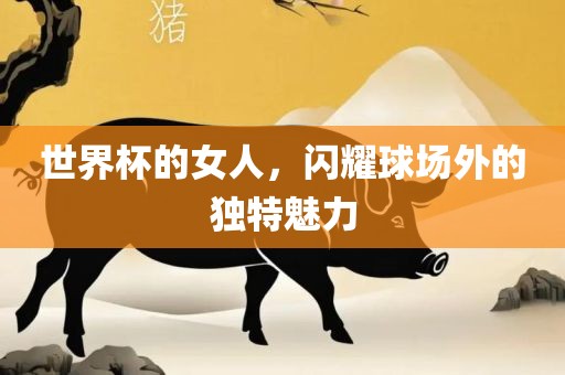 世界杯的女人，闪耀球场外的独特魅力