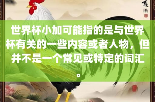 世界杯小加可能指的是与世界杯有关的一些内容或者人物，但并不是一个常见或特定的词汇。