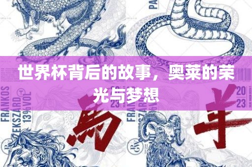 世界杯背后的故事，奥莱的荣光与梦想