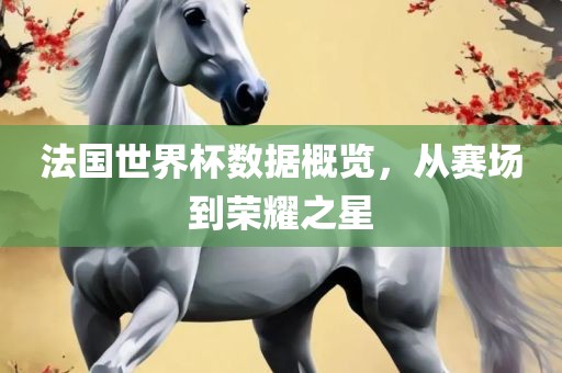 法国世界杯数据概览，从赛场到荣耀之星