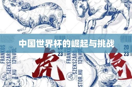 中国世界杯的崛起与挑战