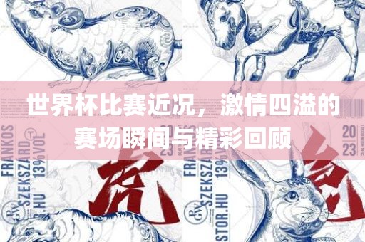 世界杯比赛近况，激情四溢的赛场瞬间与精彩回顾