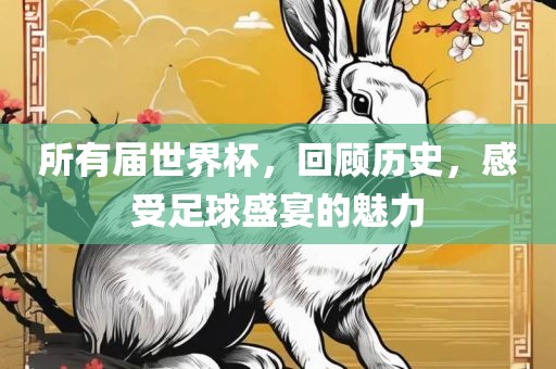 所有届世界杯，回顾历史，感受足球盛宴的魅力