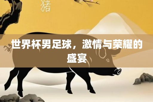 世界杯男足球，激情与荣耀的盛宴