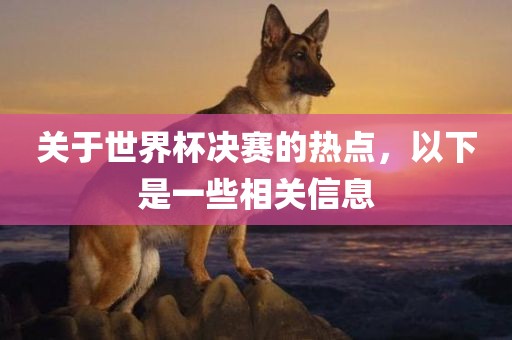 关于世界杯决赛的热点，以下是一些相关信息