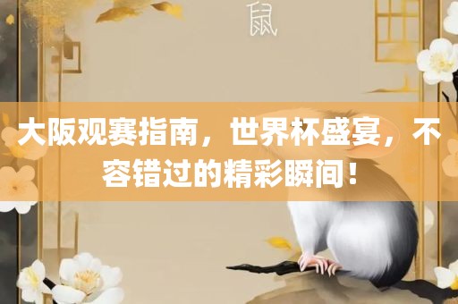 大阪观赛指南，世界杯盛宴，不容错过的精彩瞬间！