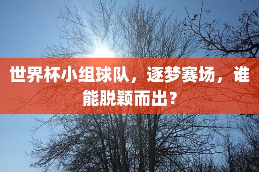 世界杯小组球队，逐梦赛场，谁能脱颖而出？