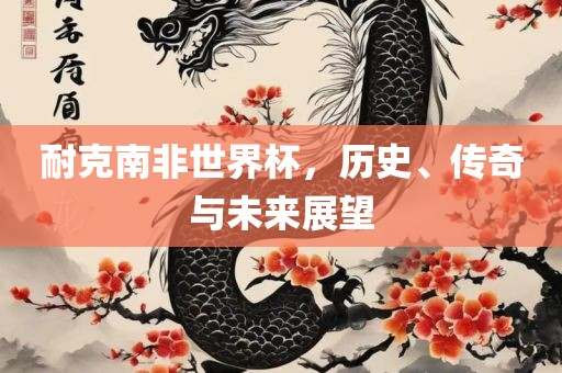 耐克南非世界杯，历史、传奇与未来展望