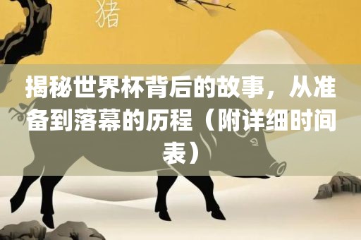揭秘世界杯背后的故事，从准备到落幕的历程（附详细时间表）