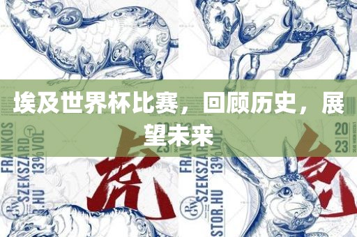 埃及世界杯比赛，回顾历史，展望未来