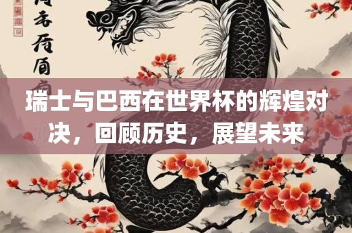 瑞士与巴西在世界杯的辉煌对决，回顾历史，展望未来