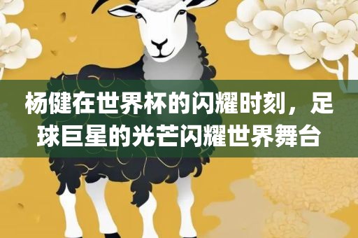杨健在世界杯的闪耀时刻，足球巨星的光芒闪耀世界舞台