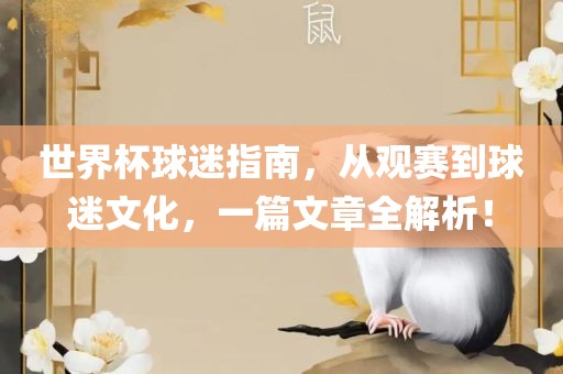 世界杯球迷指南，从观赛到球迷文化，一篇文章全解析！