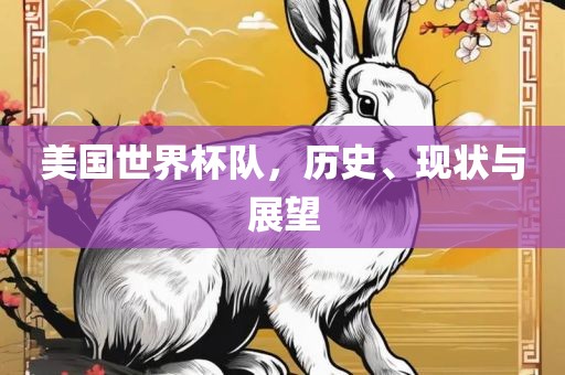 美国世界杯队，历史、现状与展望