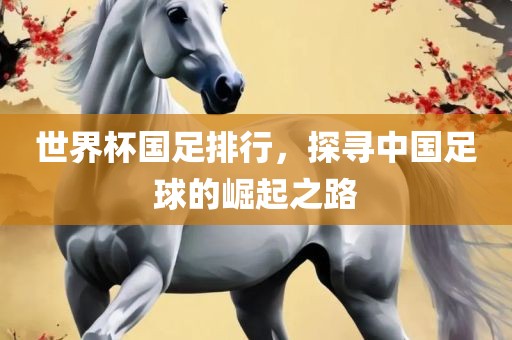 世界杯国足排行，探寻中国足球的崛起之路