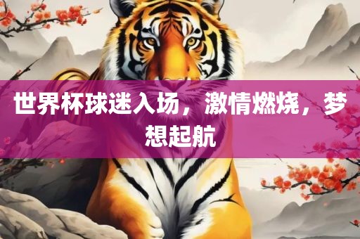 世界杯球迷入场，激情燃烧，梦想起航