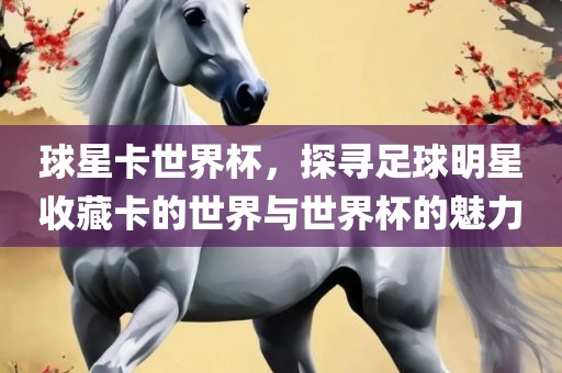 球星卡世界杯，探寻足球明星收藏卡的世界与世界杯的魅力