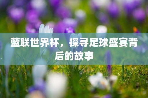 蓝联世界杯，探寻足球盛宴背后的故事
