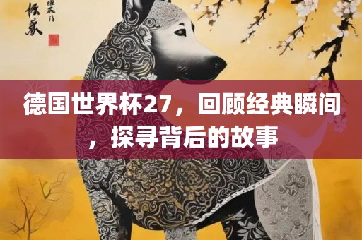 德国世界杯27，回顾经典瞬间，探寻背后的故事