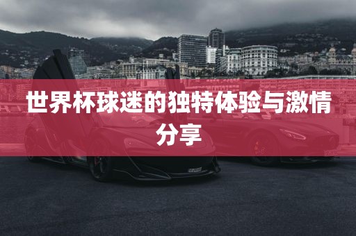 世界杯球迷的独特体验与激情分享