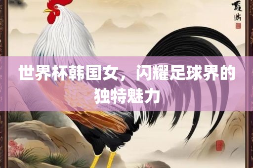 世界杯韩国女，闪耀足球界的独特魅力