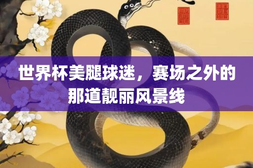 世界杯美腿球迷，赛场之外的那道靓丽风景线