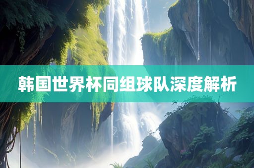 韩国世界杯同组球队深度解析