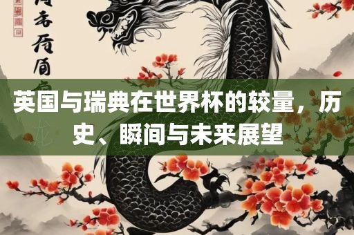英国与瑞典在世界杯的较量，历史、瞬间与未来展望