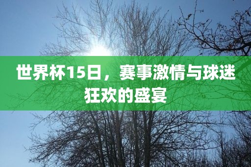 世界杯15日，赛事激情与球迷狂欢的盛宴