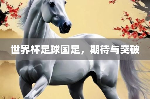 世界杯足球国足，期待与突破