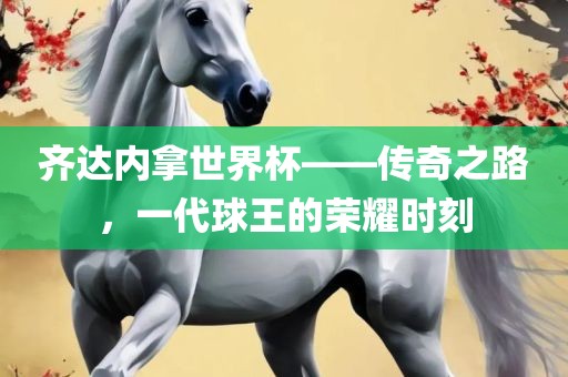 齐达内拿世界杯——传奇之路，一代球王的荣耀时刻