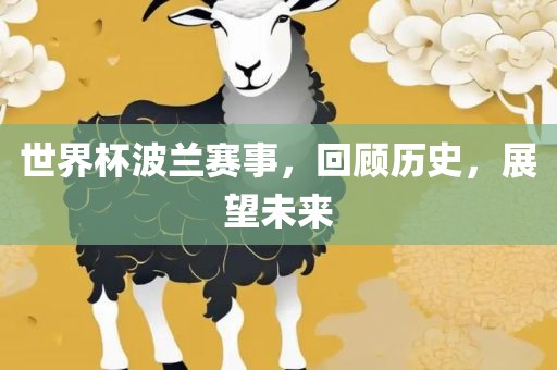 世界杯波兰赛事，回顾历史，展望未来