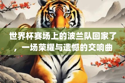 世界杯赛场上的波兰队回家了，一场荣耀与遗憾的交响曲