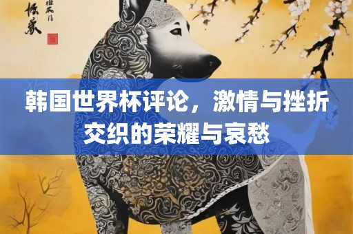 韩国世界杯评论，激情与挫折交织的荣耀与哀愁