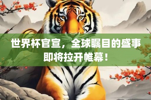 世界杯官宣，全球瞩目的盛事即将拉开帷幕！