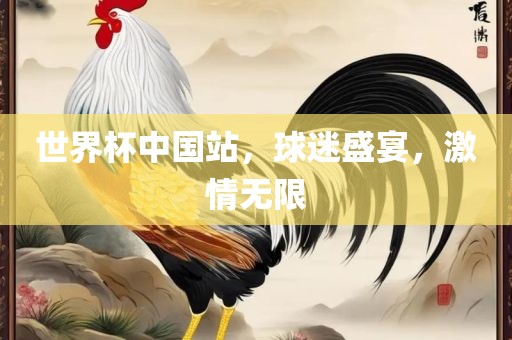 世界杯中国站，球迷盛宴，激情无限