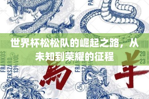 世界杯松松队的崛起之路，从未知到荣耀的征程