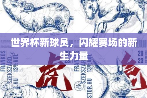 世界杯新球员，闪耀赛场的新生力量