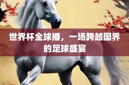 世界杯全球播，一场跨越国界的足球盛宴