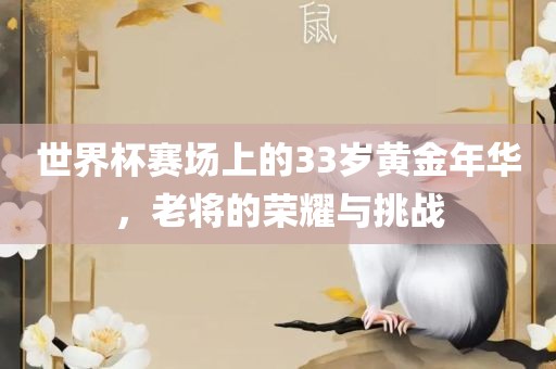 世界杯赛场上的33岁黄金年华，老将的荣耀与挑战