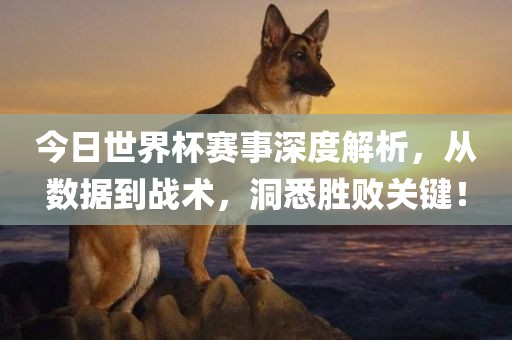 今日世界杯赛事深度解析，从数据到战术，洞悉胜败关键！