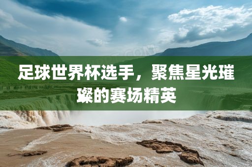 足球世界杯选手，聚焦星光璀璨的赛场精英