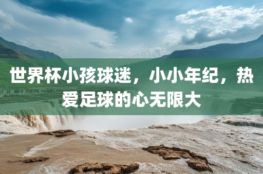 世界杯小孩球迷，小小年纪，热爱足球的心无限大