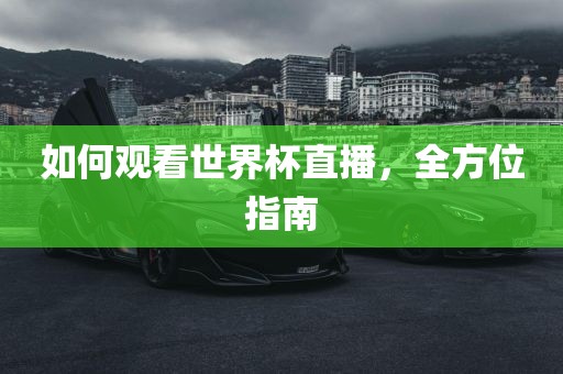 如何观看世界杯直播，全方位指南